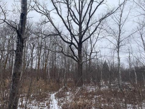 27XX 320th Avenue Brook Park MN 55007