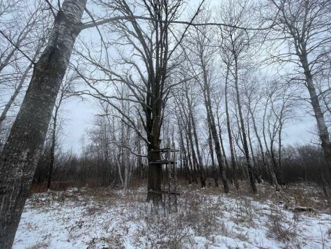 27XX 320th Avenue Brook Park MN 55007