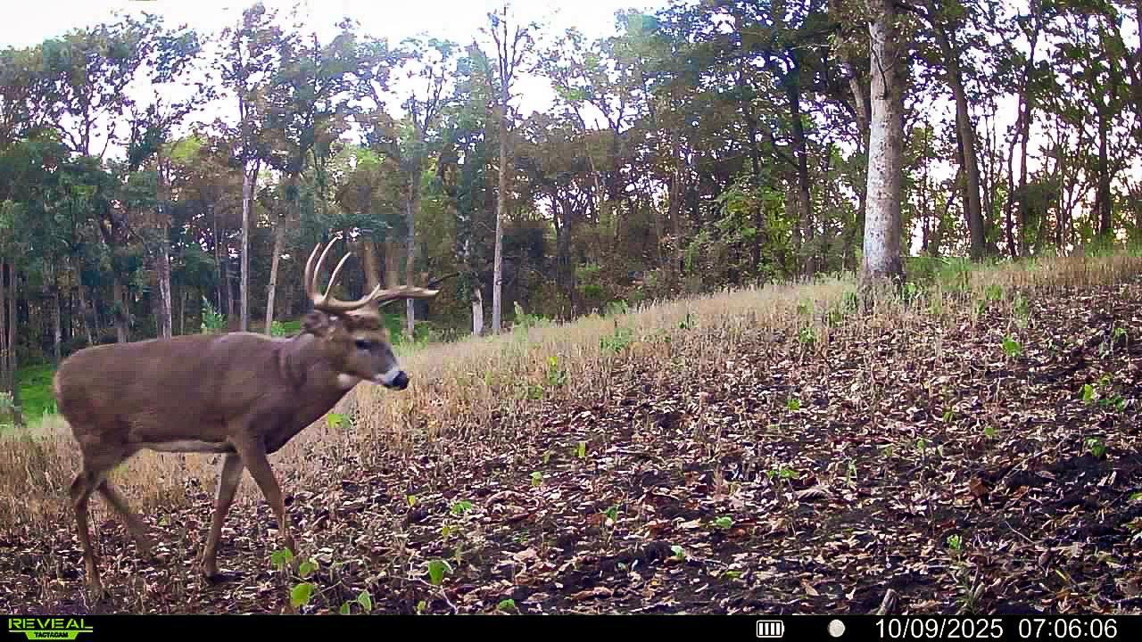 W27022 Whistle Pass Road Dodge WI 54661