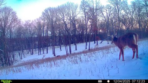 W27022 Whistle Pass Road Dodge WI 54661