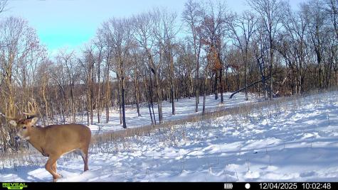 W27022 Whistle Pass Road Dodge WI 54661