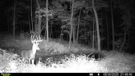 W27022 Whistle Pass Road Dodge WI 54661