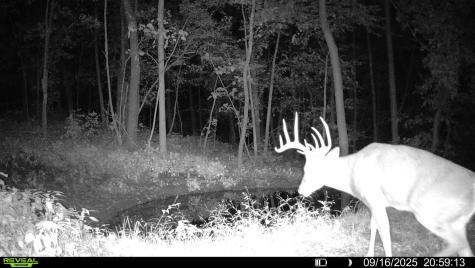 W27022 Whistle Pass Road Dodge WI 54661