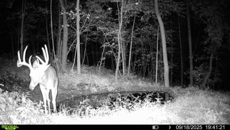 W27022 Whistle Pass Road Dodge WI 54661