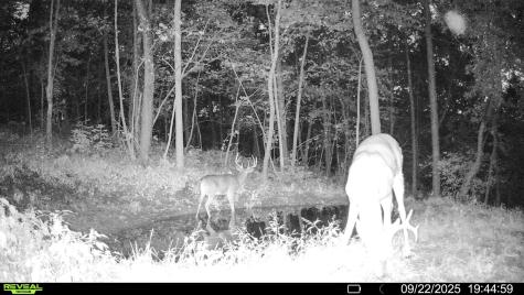 W27022 Whistle Pass Road Dodge WI 54661