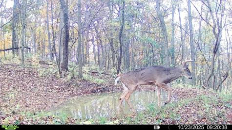 W27022 Whistle Pass Road Dodge WI 54661
