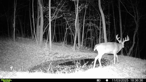 W27022 Whistle Pass Road Dodge WI 54661