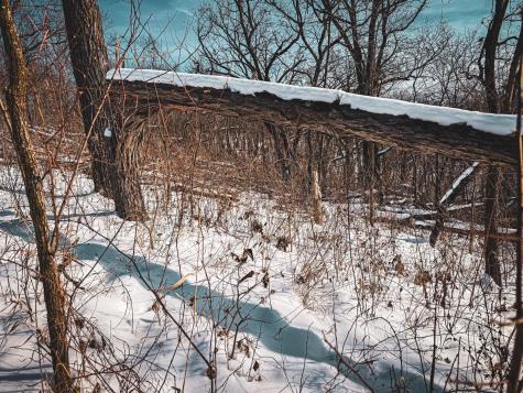 W27022 Whistle Pass Road Dodge WI 54661