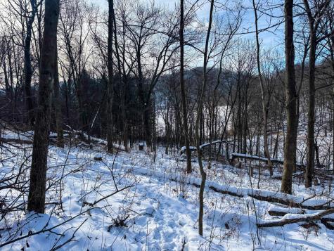 W27022 Whistle Pass Road Dodge WI 54661