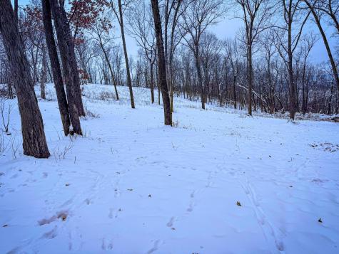 W27022 Whistle Pass Road Dodge WI 54661