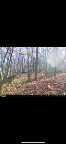 W27022 Whistle Pass Road Dodge WI 54661
