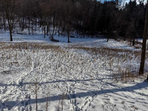 W27022 Whistle Pass Road Dodge WI 54661