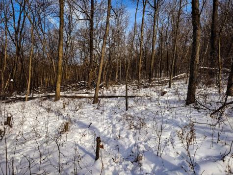 W27022 Whistle Pass Road Dodge WI 54661