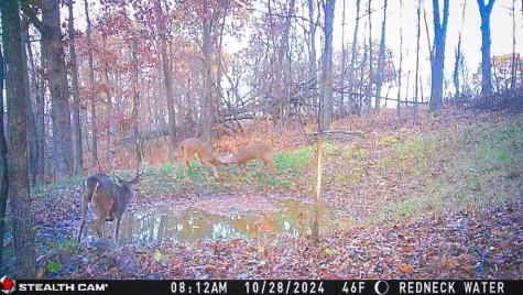 W27022 Whistle Pass Road Dodge WI 54661