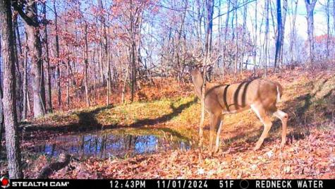 W27022 Whistle Pass Road Dodge WI 54661