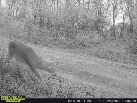W27022 Whistle Pass Road Dodge WI 54661