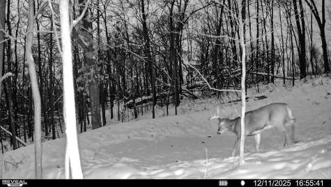 W27022 Whistle Pass Road Dodge WI 54661