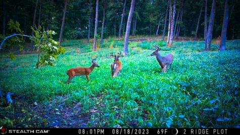 W27022 Whistle Pass Road Dodge WI 54661