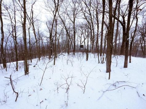W27022 Whistle Pass Road Dodge WI 54661