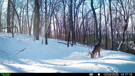 W27022 Whistle Pass Road Dodge WI 54661