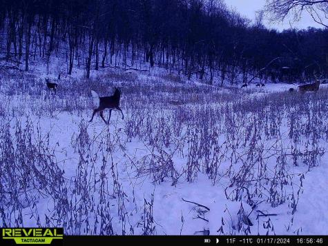W27022 Whistle Pass Road Dodge WI 54661