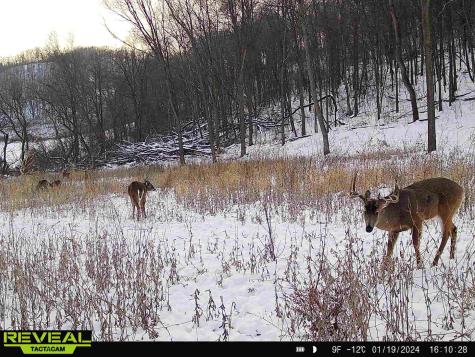 W27022 Whistle Pass Road Dodge WI 54661