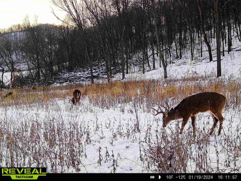 W27022 Whistle Pass Road Dodge WI 54661