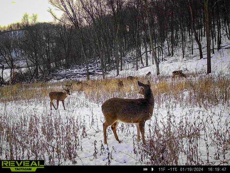 W27022 Whistle Pass Road Dodge WI 54661
