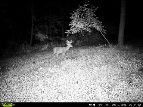 W27022 Whistle Pass Road Dodge WI 54661