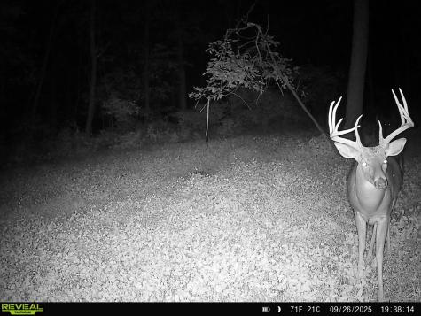 W27022 Whistle Pass Road Dodge WI 54661