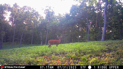 W27022 Whistle Pass Road Dodge WI 54661
