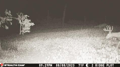 W27022 Whistle Pass Road Dodge WI 54661