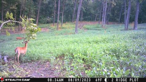 W27022 Whistle Pass Road Dodge WI 54661