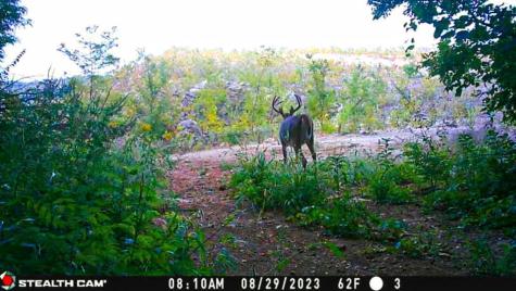 W27022 Whistle Pass Road Dodge WI 54661