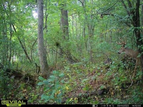 W27022 Whistle Pass Road Dodge WI 54661