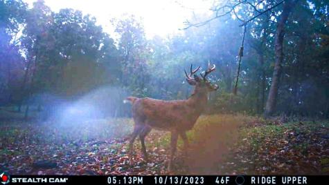 W27022 Whistle Pass Road Dodge WI 54661