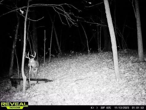 W27022 Whistle Pass Road Dodge WI 54661