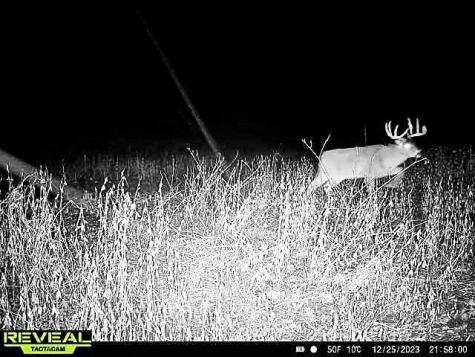 W27022 Whistle Pass Road Dodge WI 54661