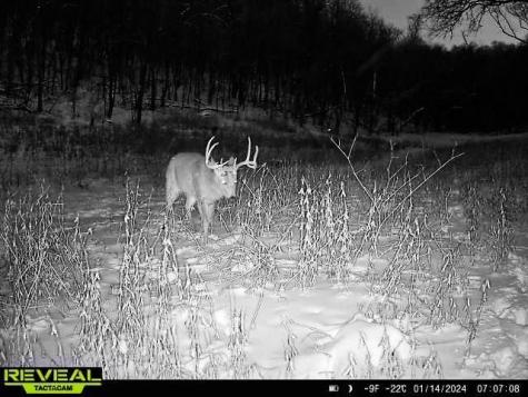 W27022 Whistle Pass Road Dodge WI 54661