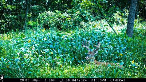 W27022 Whistle Pass Road Dodge WI 54661