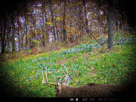 W27022 Whistle Pass Road Dodge WI 54661
