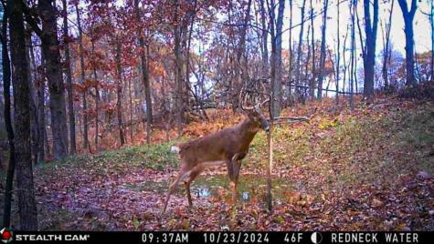 W27022 Whistle Pass Road Dodge WI 54661