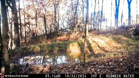 W27022 Whistle Pass Road Dodge WI 54661