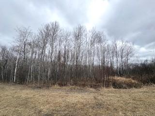 Tbd 450th Street Mcgregor MN 55760