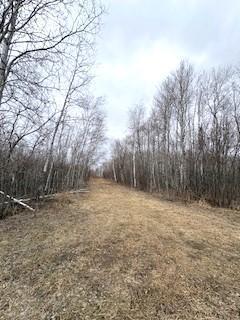 Tbd 450th Street Mcgregor MN 55760