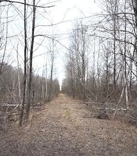 Tbd 450th Street Mcgregor MN 55760