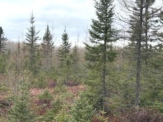 Tbd 450th Street Mcgregor MN 55760