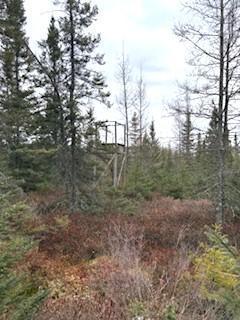 Tbd 450th Street Mcgregor MN 55760