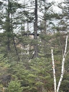 Tbd 450th Street Mcgregor MN 55760