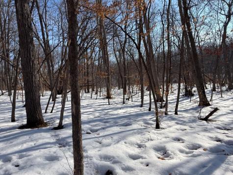 23847 Arcade Loop Menahga MN 56464